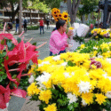 Vendedores de flores de Carúpano expresaron su esperanza de obtener buenas ventas este año