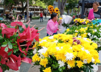Vendedores de flores de Carúpano expresaron su esperanza de obtener buenas ventas este año