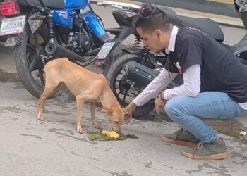 Escuela Corazón de Jesús y Misión Nevado brindaron una atención a animales en situación de calle