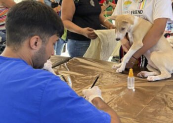 Misión Nevado en el estado Anzoátegui cerrará el 2025 con más de 26 mil animales atendidos