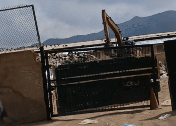 Gil: En 2025 las prioridades en materia ambiental han carecido de soluciones