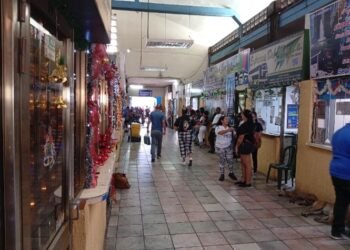 Aumentó flujo de pasajeros en el terminal, pero aún no se vive temporada de otrora (+Fotos)