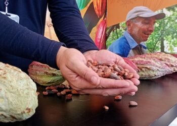 Fundación Proyecto Paria cerró 2025 con proyectos bandera en las áreas de rescate de cuencas y cacao