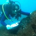 Vocero aclara estatus de las investigaciones para combatir el coral Unomia