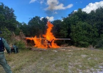 FANB destruye tres aeronaves vinculadas al narcotráfico