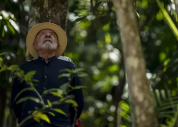 Lula entra al año electoral con ventaja en los sondeos y la derecha dividida sin Bolsonaro