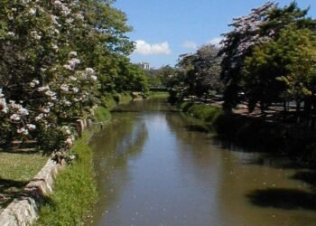 Colegio de Ingenieros y Cámara Inmobiliaria mantienen objeciones por obra en márgenes del Manzanares