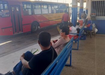 Principales avenidas de la zona metropolitana tuvieron tránsito normal este lunes (+Fotos)