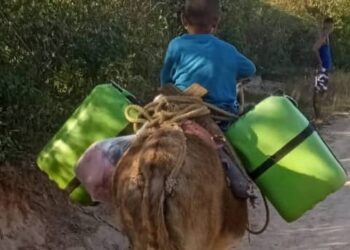 El Tiempo en la calle | Seis comunidades rurales de Andrés Mata padecen calamidades por la falta de agua desde hace dos meses