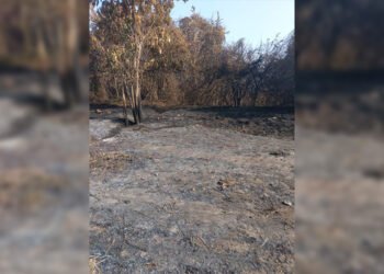 Voz Comunitaria | Incendio en parque causó zozobra y dejó sin sueño a más de un guanteño