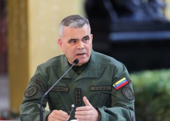 Padrino López: FANB apoya esfuerzo del Gobierno encargado para la "unión nacional"