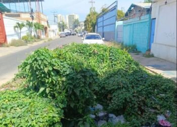Tramo de la Av. Guzmán Lander tiene más de 10 años con un enorme hueco (+Video)