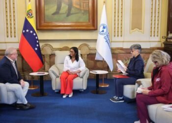 Delcy Rodríguez se reúne con representante de la OPS para establecer "cooperación técnica"