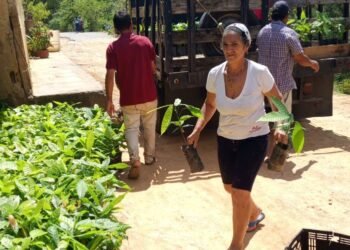 Productores iniciaron formación y recibieron plantas de cacao