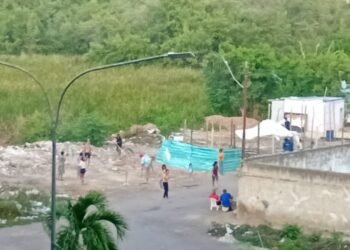 Denuncian construcción de ranchos improvisados en El Maguey (+Fotos)