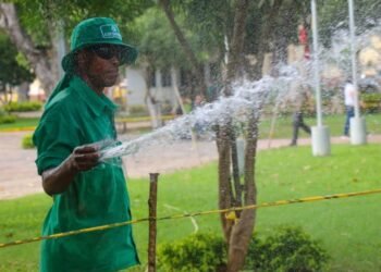 El sueño de volver a Venezuela choca con la vida que millones reconstruyeron en Colombia