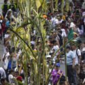 Cientos de 'palmeros' hicieron su tradicional bajada con palmas para el Domingo de Ramos
