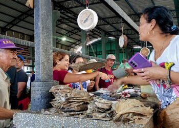 Compradores en el mercado de Carúpano califican los precios del pescado como "muy buenos"
