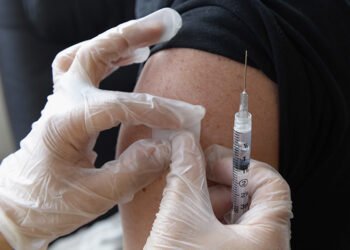 24 organizaciones alertan sobre el «inicio» de epidemia de fiebre amarilla y piden transparencia