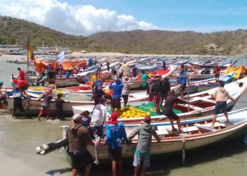 Ministerio de Pesca realiza inventario de recursos en la cadena productiva de la sardina en Sucre