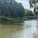 Autoridades refuerzan vigilancia en zonas del río Manzanares en Cumaná
