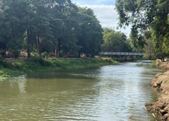 Autoridades refuerzan vigilancia en zonas del río Manzanares en Cumaná