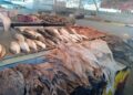 Clientes reportan que bajaron consumo de pescado en Cuaresma por alza de precios
