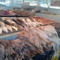 Clientes reportan que bajaron consumo de pescado en Cuaresma por alza de precios