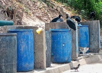 El Tiempo en la calle | Vecinos de Bermúdez reportan apagones constantes y problemas de basura