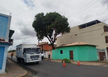 Intervienen árbol que representaba peligro en sector Pueblo Nuevo Norte de El Tigre