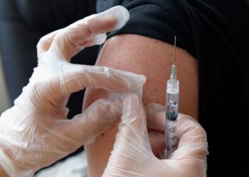 Gobernador de Lara confirmó la muerte de una persona por fiebre amarilla