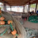 Pescadores de Nueva Esparta exigen paridad de precios ante inicio de la zafra de sardina