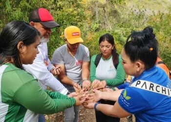 Realizaron jornada de recolección de semillas en la cuenca media de La Cerbatana en Bermúdez