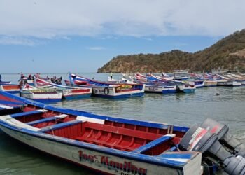 Legislador y dirigente pesquero espera que la sardina entre a puertos de Sucre en mayo