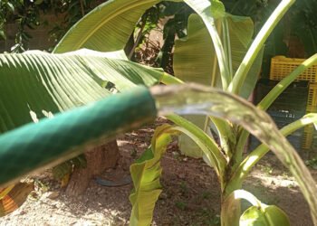 Luego de cinco meses, vecinos de seis comunidades de Andrés Mata comenzaron a recibir agua por tubería