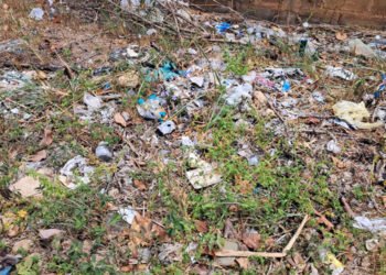 Basura bordea calle del sector San José en El Tigre