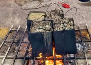 Feria de las Pepitonas celebra su edición 18 en Cumaná, pese a crisis de agua