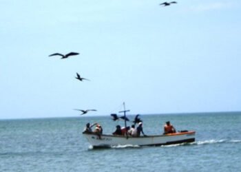 Denuncian que la isla de Coche suma 40 días sin suministro de gasolina