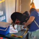 Avanza plan de inmunización de mascotas en Nueva Esparta