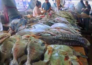 Tigrenses sustituyen el pescado salado por fresco para ahorrar en preparación de cuajao