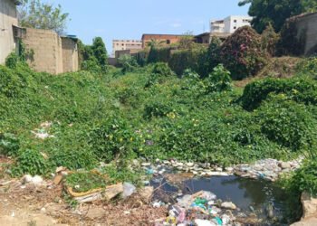 El Tiempo en la Calle | En sector Peñalver de Puerto Píritu exigen mantenimiento de quebrada