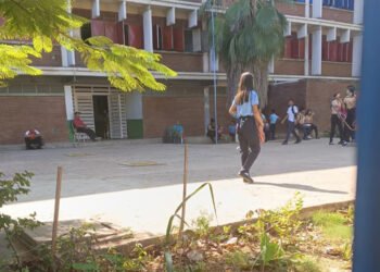 Sinvema: La proteína está ausente en la mayoría de planteles de Anzoátegui