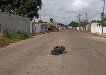 Voz Comunitaria | Cauchos y troncos alertan sobre socavación en 5ta Carrera Norte de El Tigre