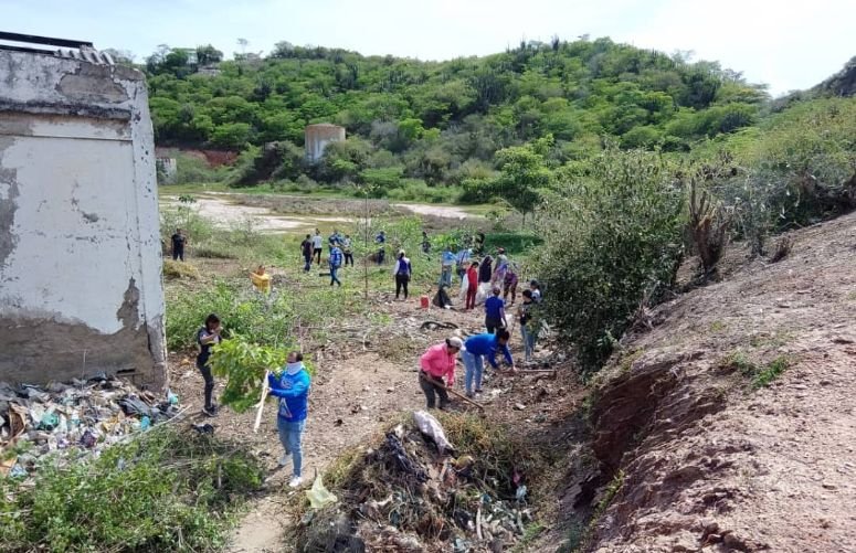 Equipos de la Alcaldía de Bermúdez transformaron antiguo basurero en un vivero ornamental