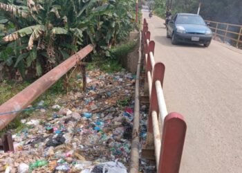 Voz Comunitaria | Habitantes de Mayorquín 3 piden atención integral para la comunidad (+Fotos)