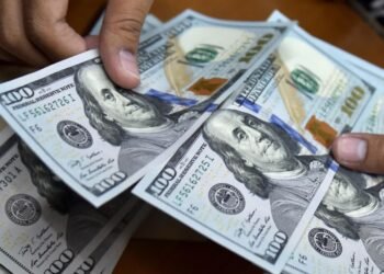 Gobierno anuncia ingreso mínimo integral en 240 dólares y pensiones en 70 dólares
