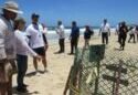 Autoridades venezolanas supervisan viveros de tortugas marinas por asueto de Semana Santa