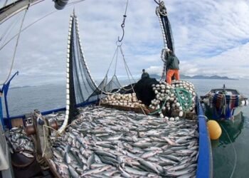 Evaluaron acciones para reactivar la pesca industrial en Sucre