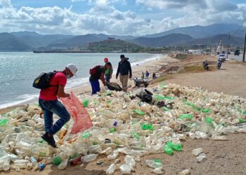 Realizaron jornada de saneamiento en la cinta costera urbana de Bermúdez