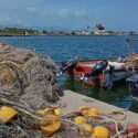 Sucre | Güiria pierde 11 toneladas diarias de pescado por paralización de flota artesanal